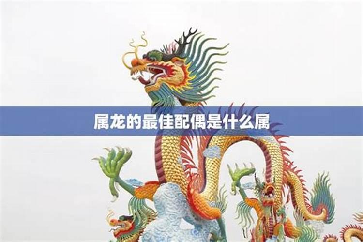属龙人的婚姻是怎样的属龙与哪些属相不合？