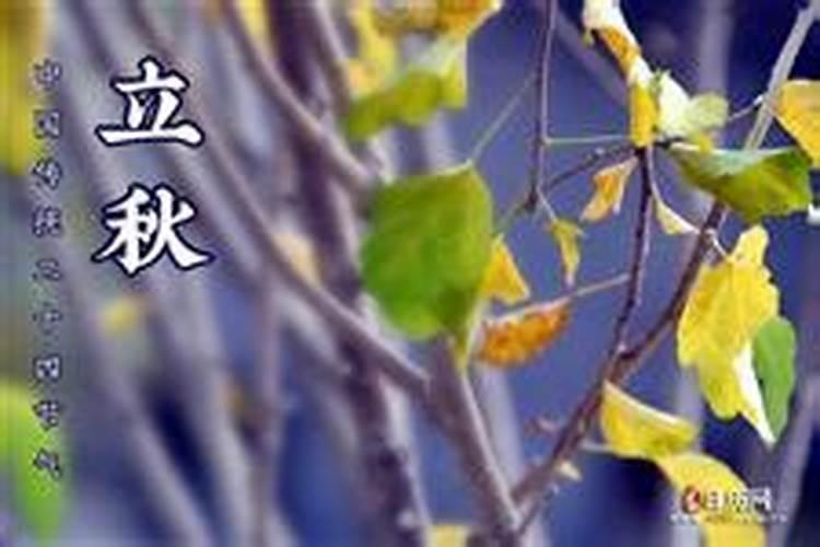 1987年属兔人2024年全年运势 87年属兔人最穷不过37岁