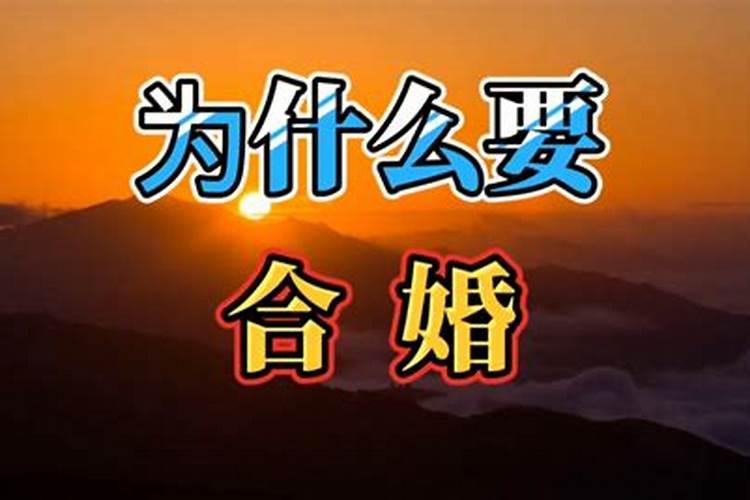 出殡火化是不是一天