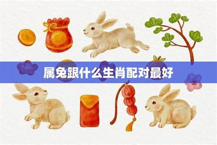 九月九是仙家什么日子九月九怎么给仙家上供？