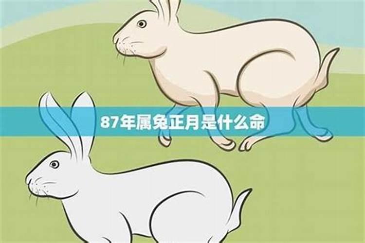 注定是夫妻的八字特点