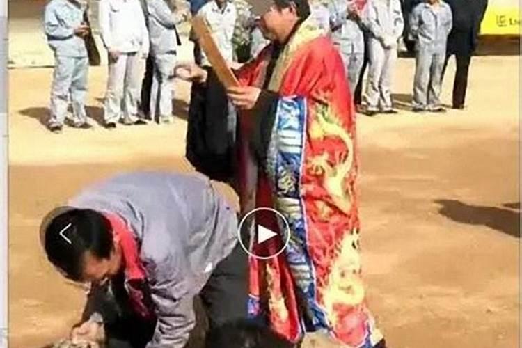 生辰八字合婚
