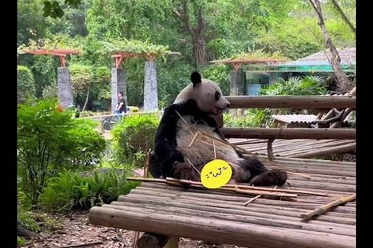 拜太岁怎么说吉利话？