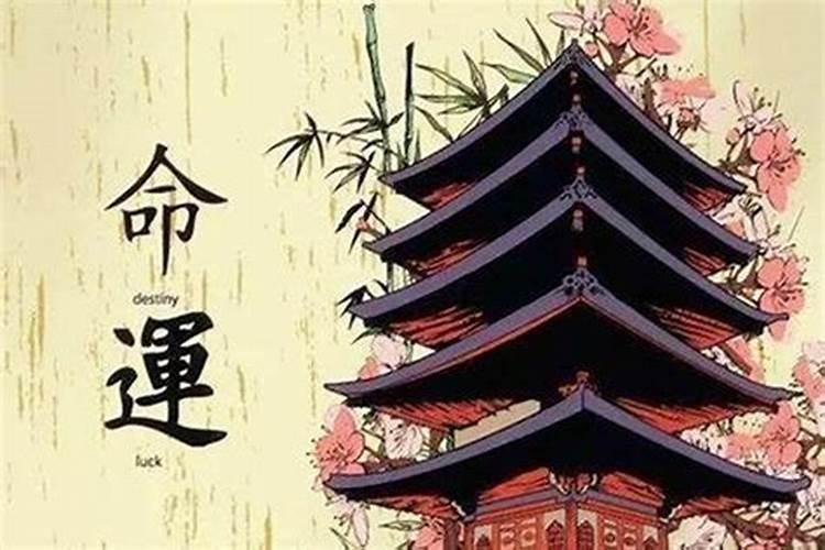 如何判断自己是金木水火土命