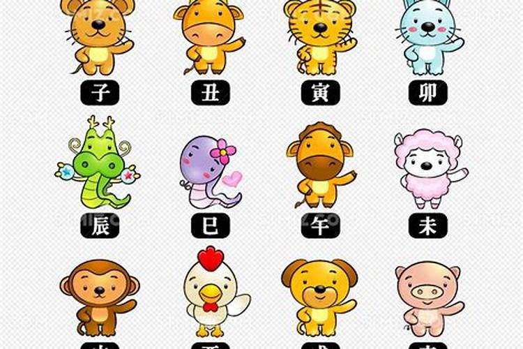 小人肖有哪几个生肖
