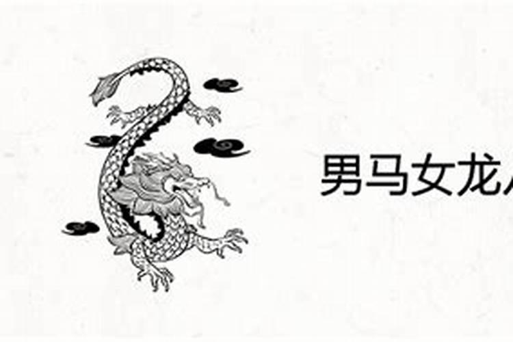属兔人2024年全年运势运程详解