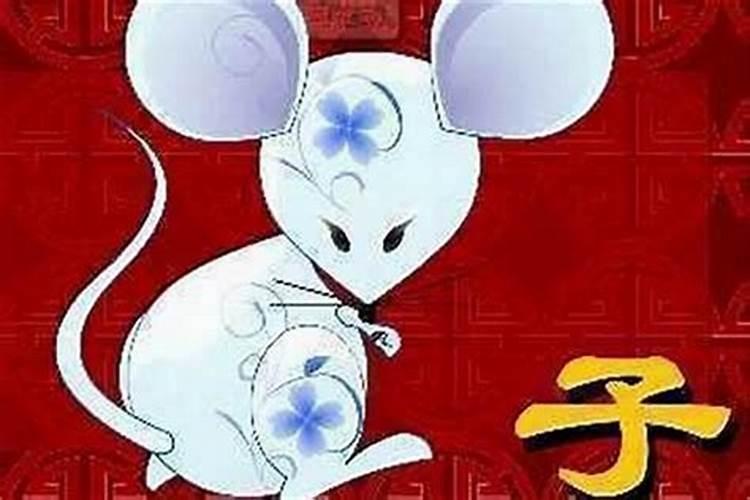 属鼠男和什么属相最配,事业家庭好搭档属龙女？