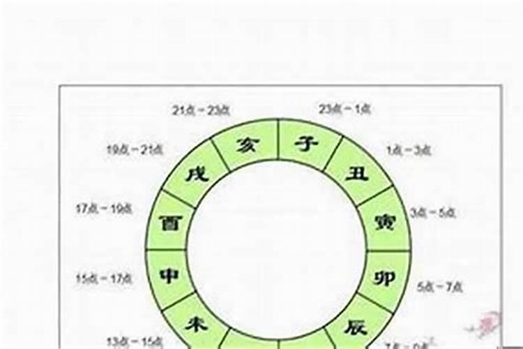 属猴的和属猪的合不合