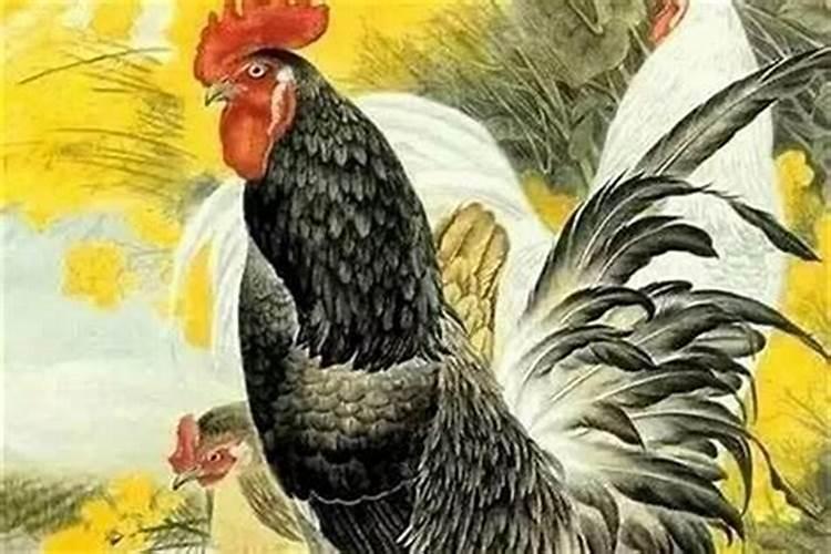 81年属鸡人2024年每月运势