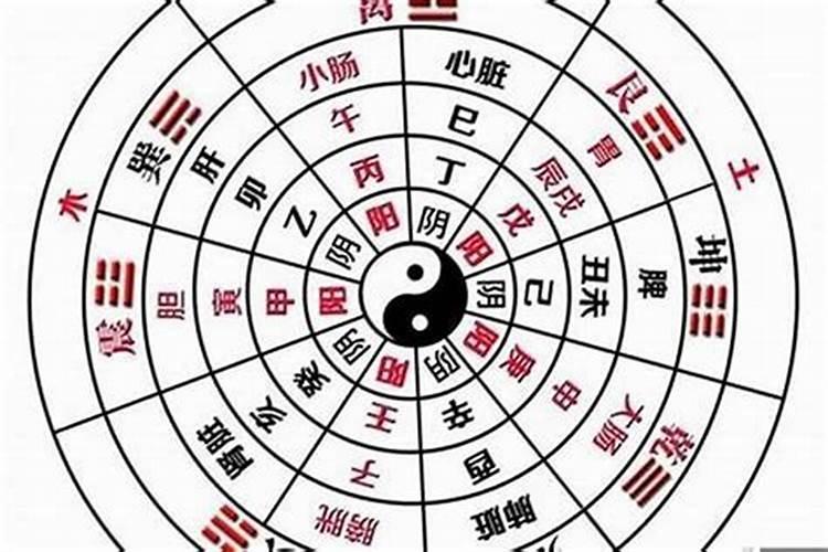 1998年阳历1月8号到底多大周岁了