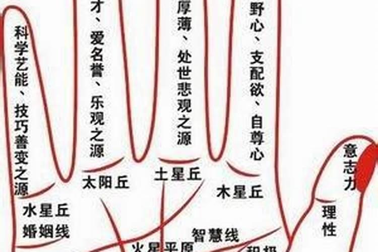 从手相看你的事业运好不好