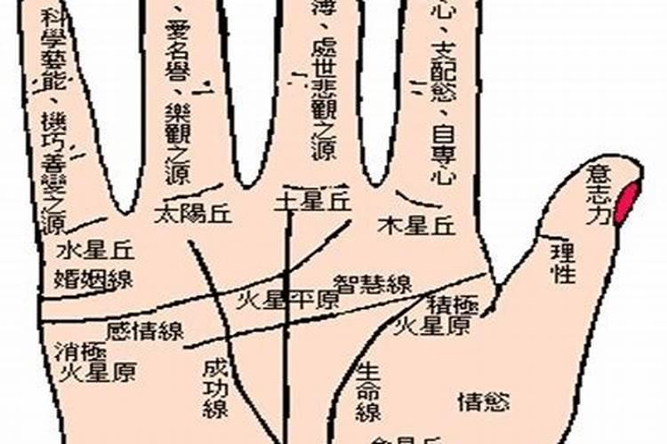 面相手相是什么意思