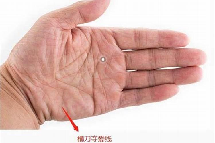 为什么说断掌的男人婚姻不顺？