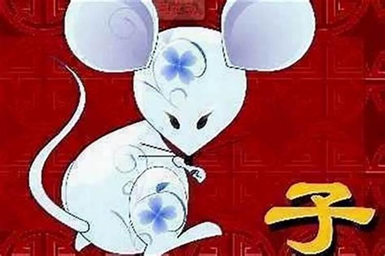 2024属鼠人1996年出生命运如何 属鼠人1996年出生的婚姻