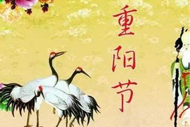 八字特别合绝对会在一起么,八字特别合能不能在一起？