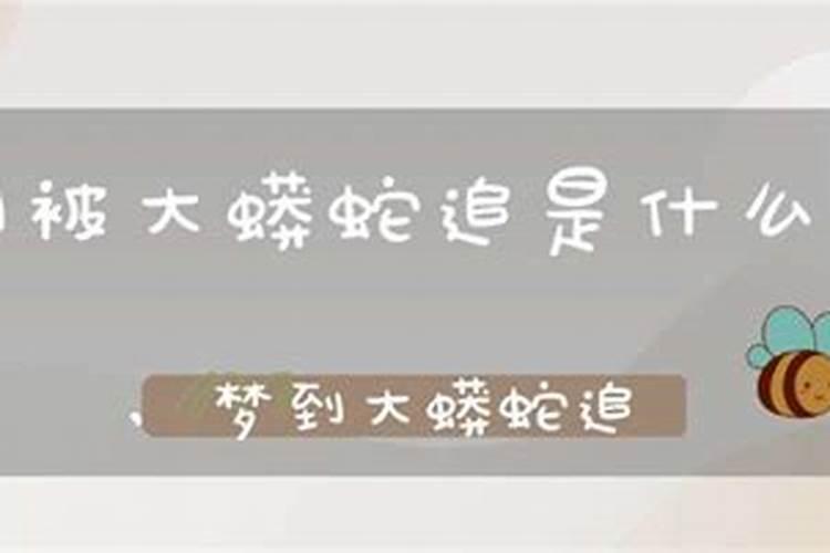 梦到被大蟒蛇追是什么意思