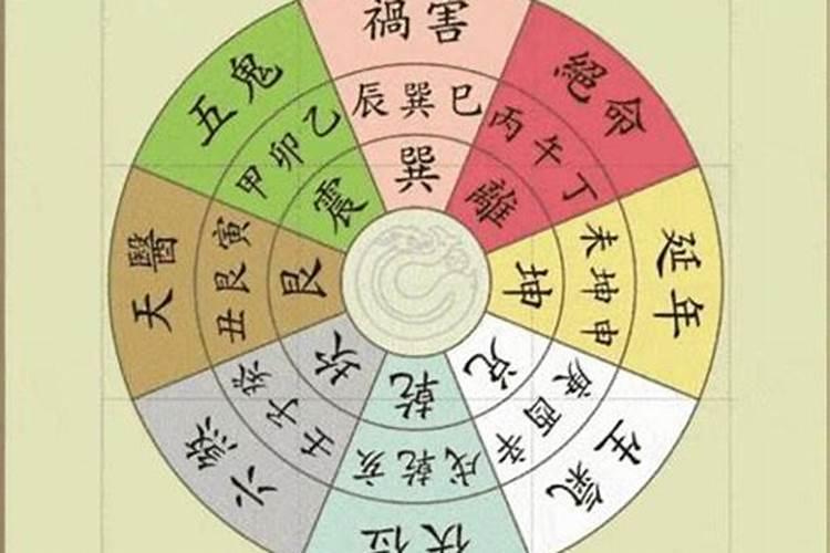 两个属虎的人适合做夫妻吗千万不要娶属虎女人原因
