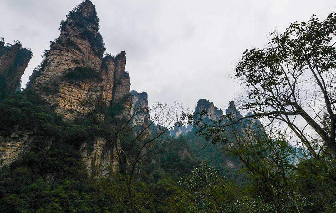 新泰至张家界旅游多少钱？