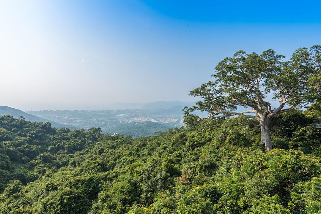 海南的旅游攻略三天