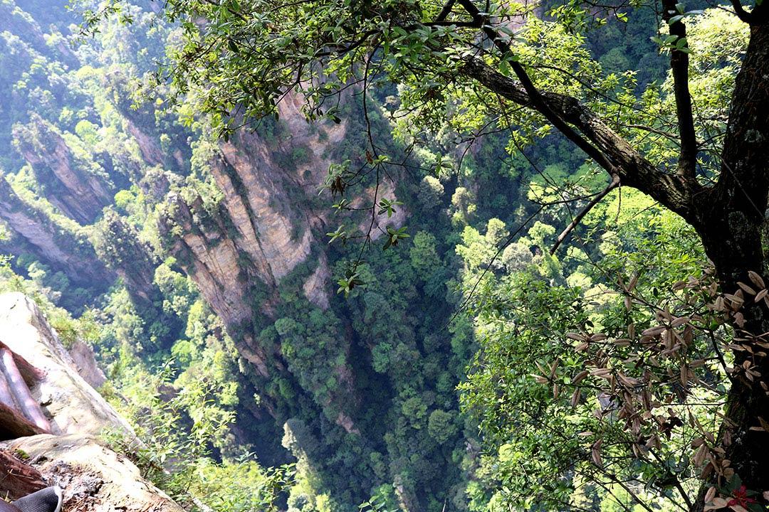 晋江到张家界旅游