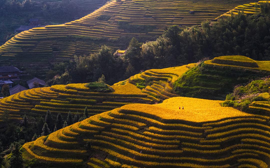 桂林阳朔旅游景点攻略路线