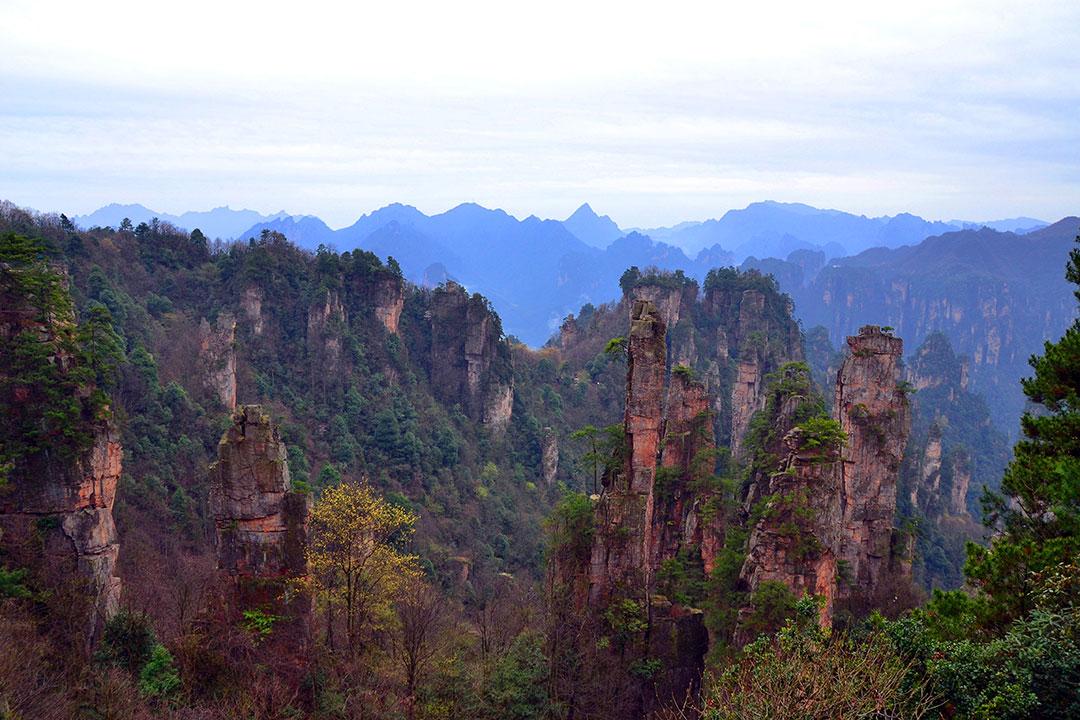 项城到张家界旅游团要多少钱？