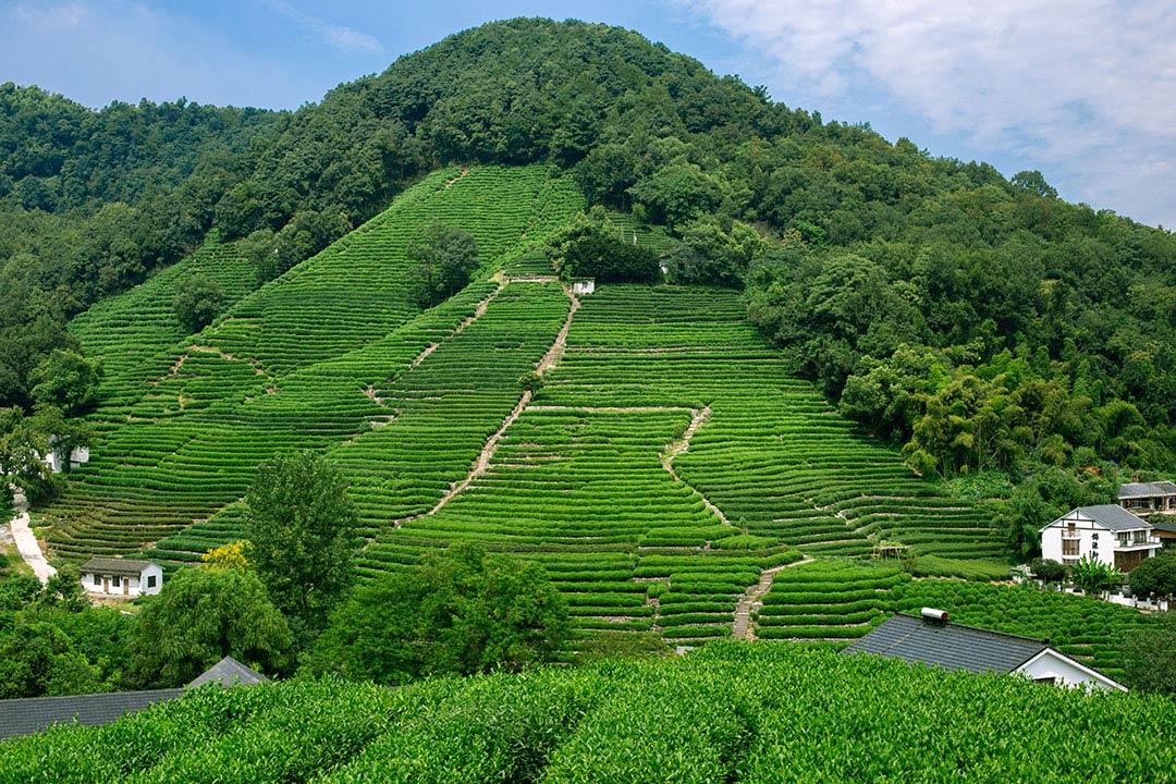 杭州市总工会职工旅游