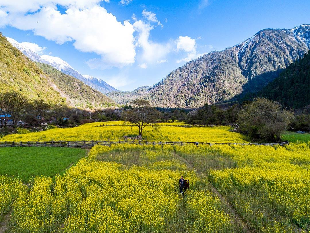 西藏旅游攻略线路详细季节