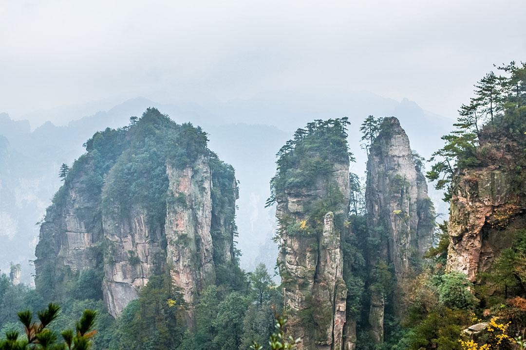 长沙至张家界的旅游