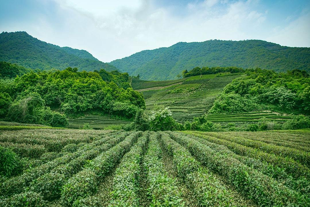 杭州热门旅游多少钱？