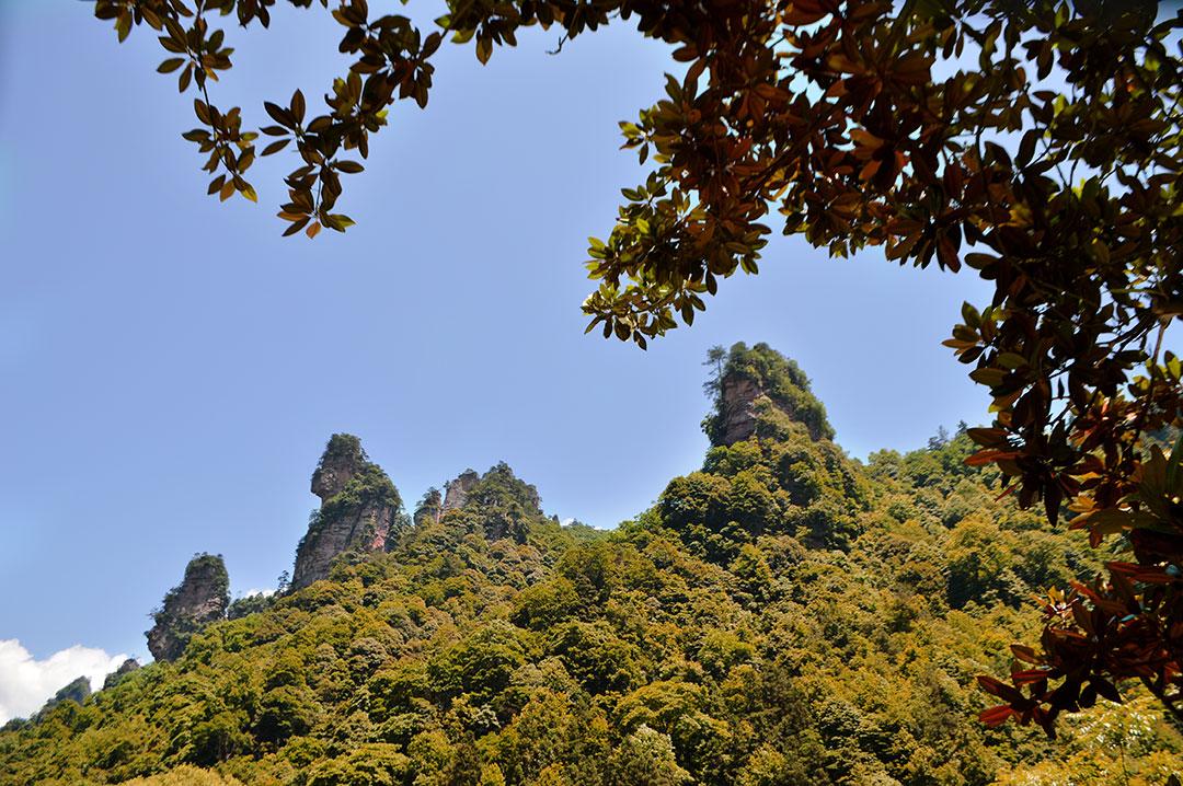 安阳出发到张家界旅游