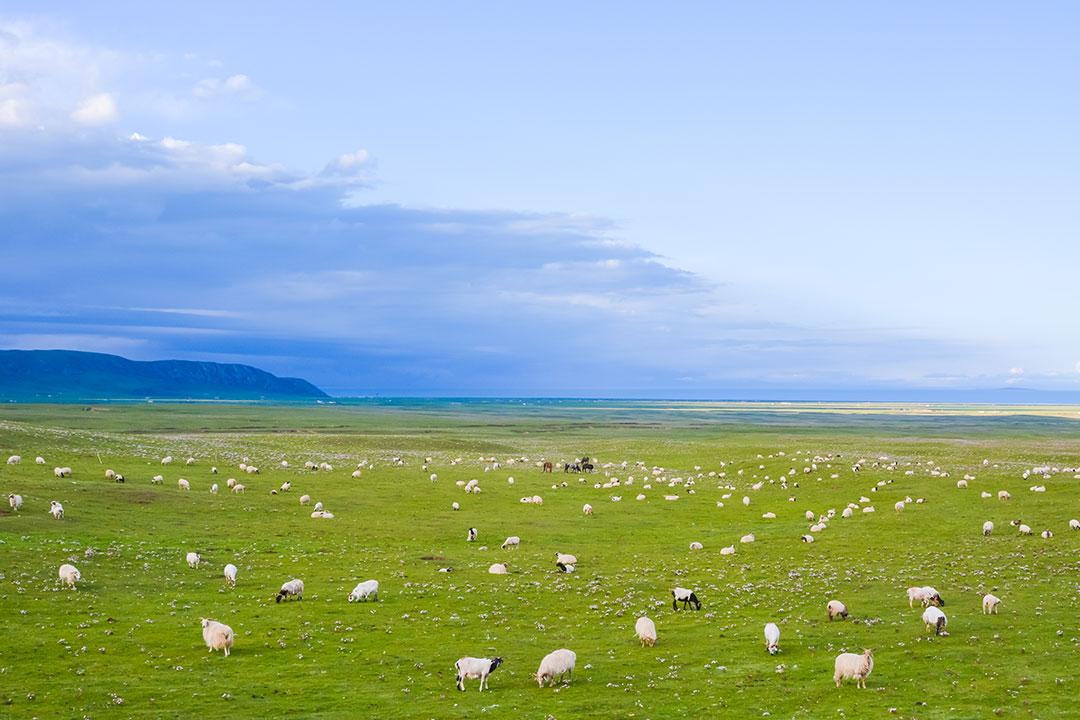 冠道自驾西藏旅游