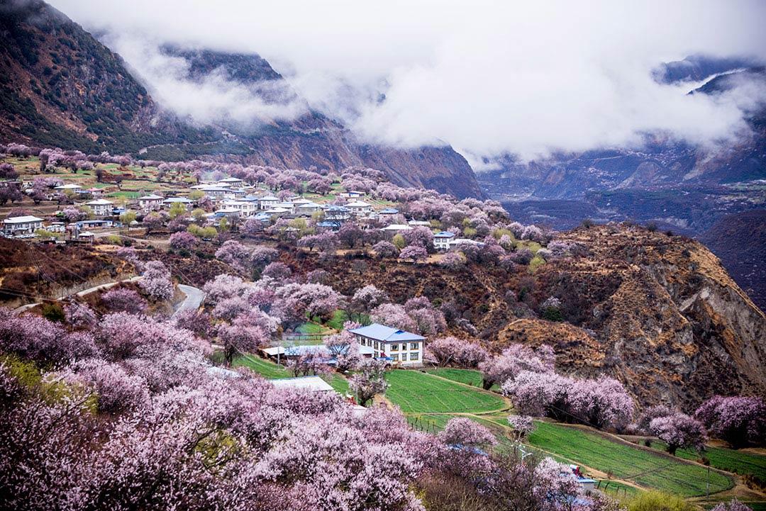 东风风光西藏旅游