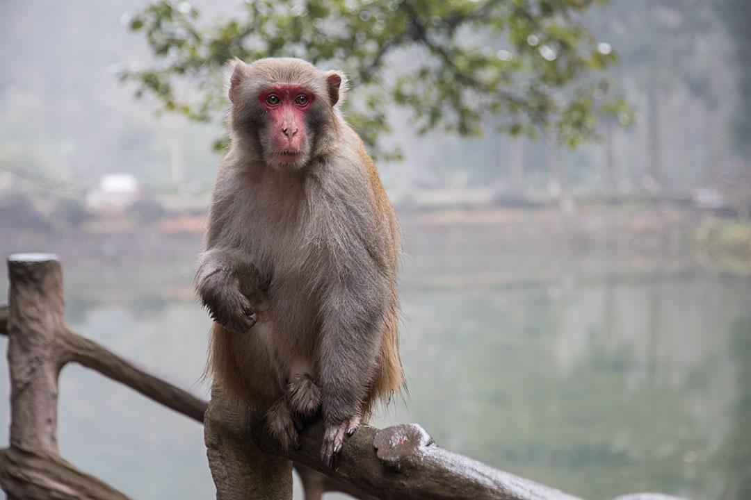 来宾至张家界旅游