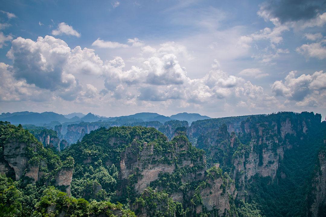 易县旅游团到张家界多少钱？