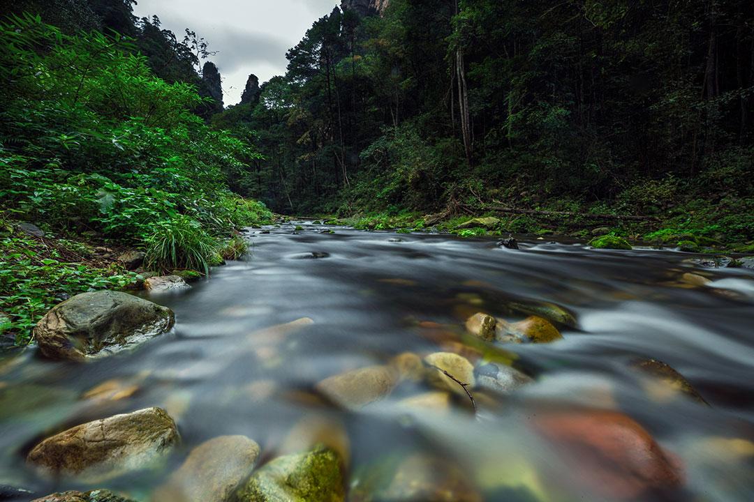 洪泽组织职工去张家界旅游