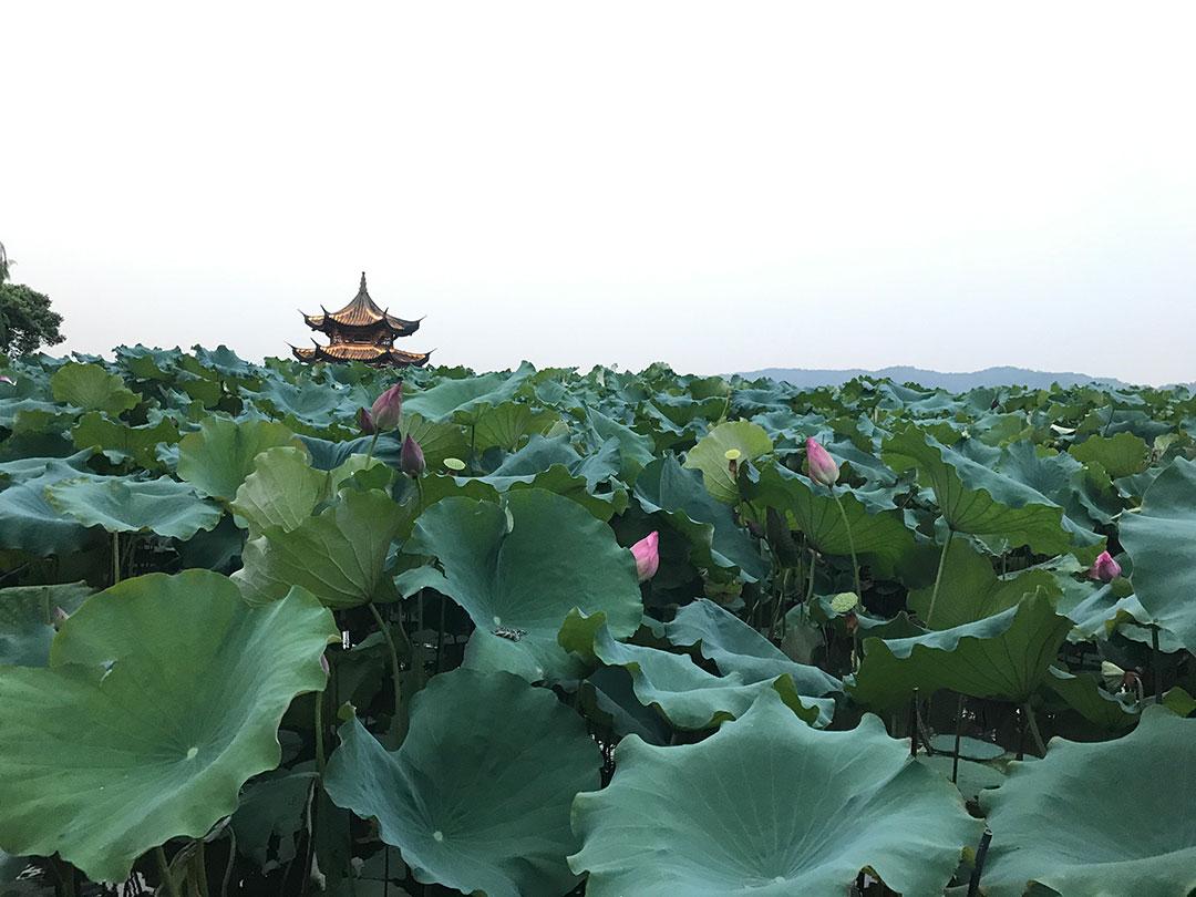 春节旅游杭州周边游