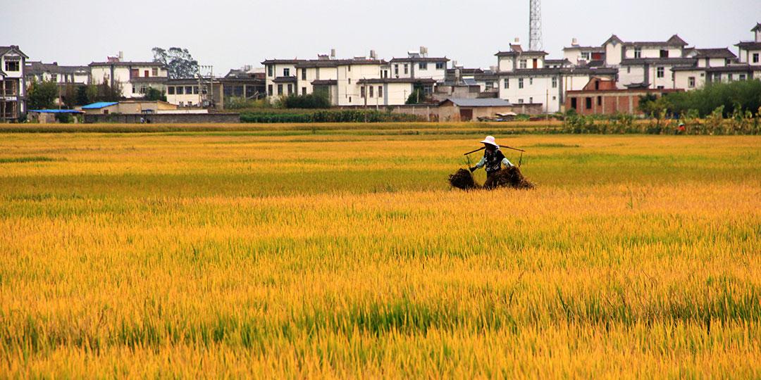 亚丁到香格里拉自驾旅游攻略