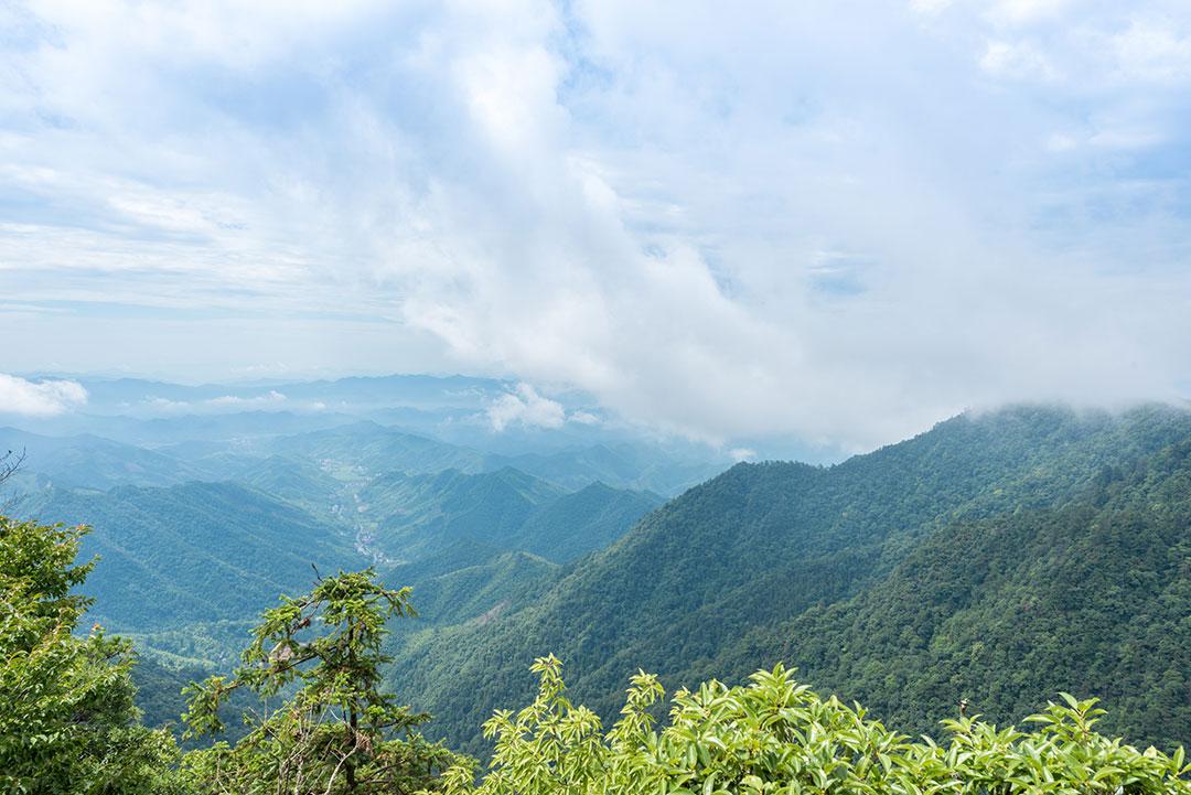 浙江乌镇西塘旅游攻略