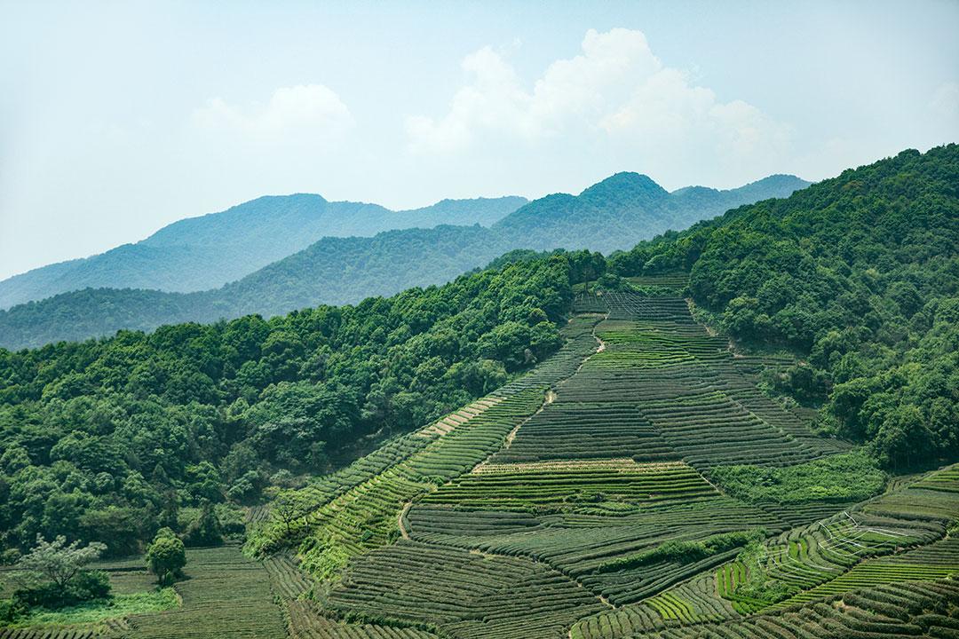 有案底去杭州旅游