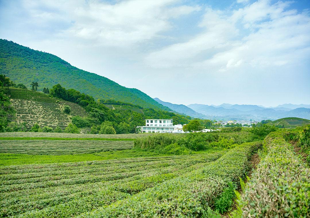 杭州旅游，不可错过的北山路