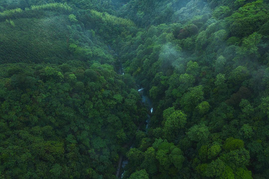 我来自桂林秀峰区，去江苏泰州旅游后，谈一下感受