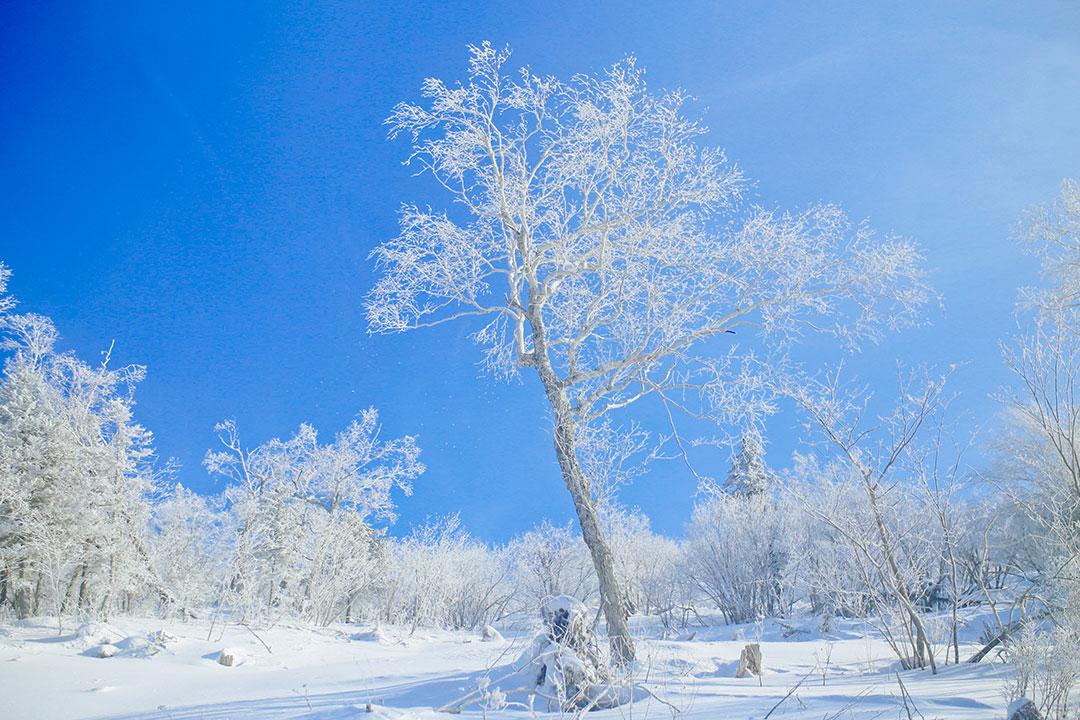 哈尔滨推出23条秋季旅游线路搅热五花山赏秋节