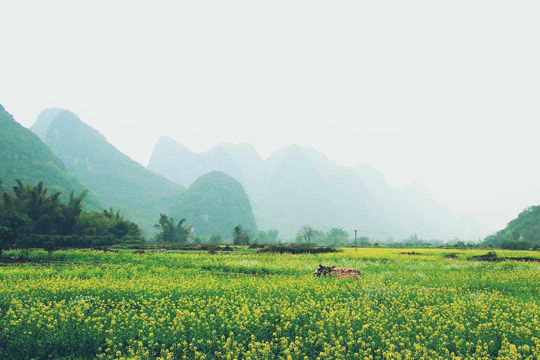 暑期带孩子去桂林旅游四天三晚应该怎么玩，进来看看吧？