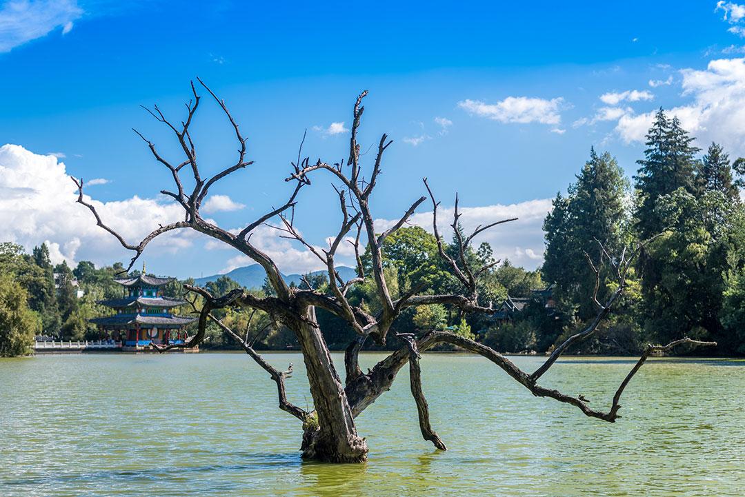 一家人去云南旅游5天需要多少钱，云南旅游五天四晚旅行团报价？