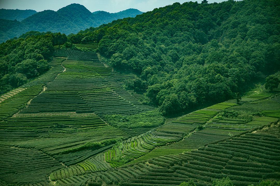 西湖群山之南高峰，三台山，亲子秋游线路