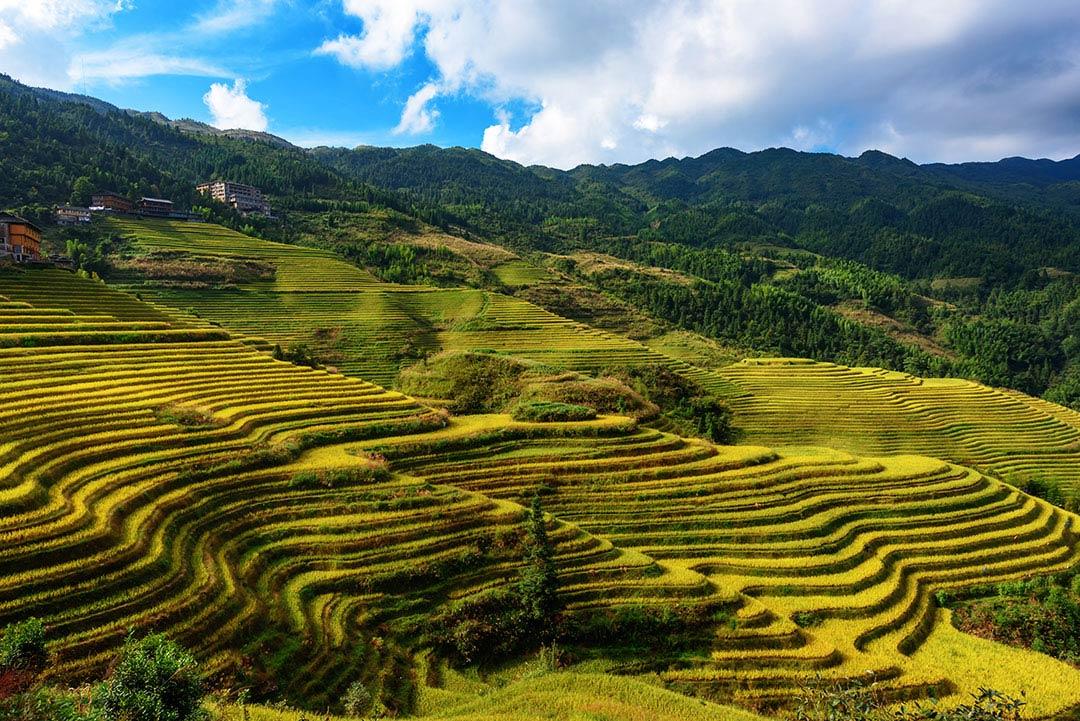 震惊，去桂林阳朔旅游原来只要这点钱