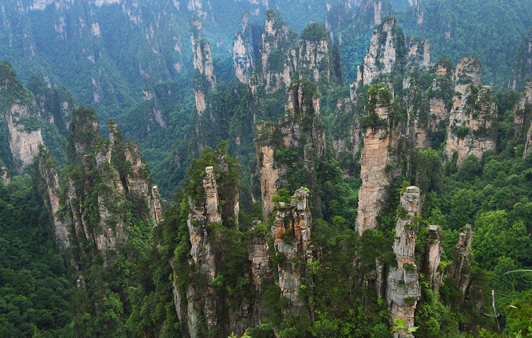 去张家界武陵源区旅游，不吹不黑，说一说我的亲身体验