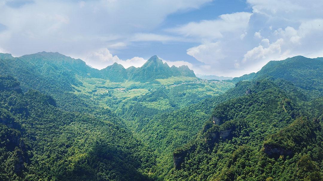 说走就走的旅行--张家界、天门山纯玩三日游记（附详细攻略）